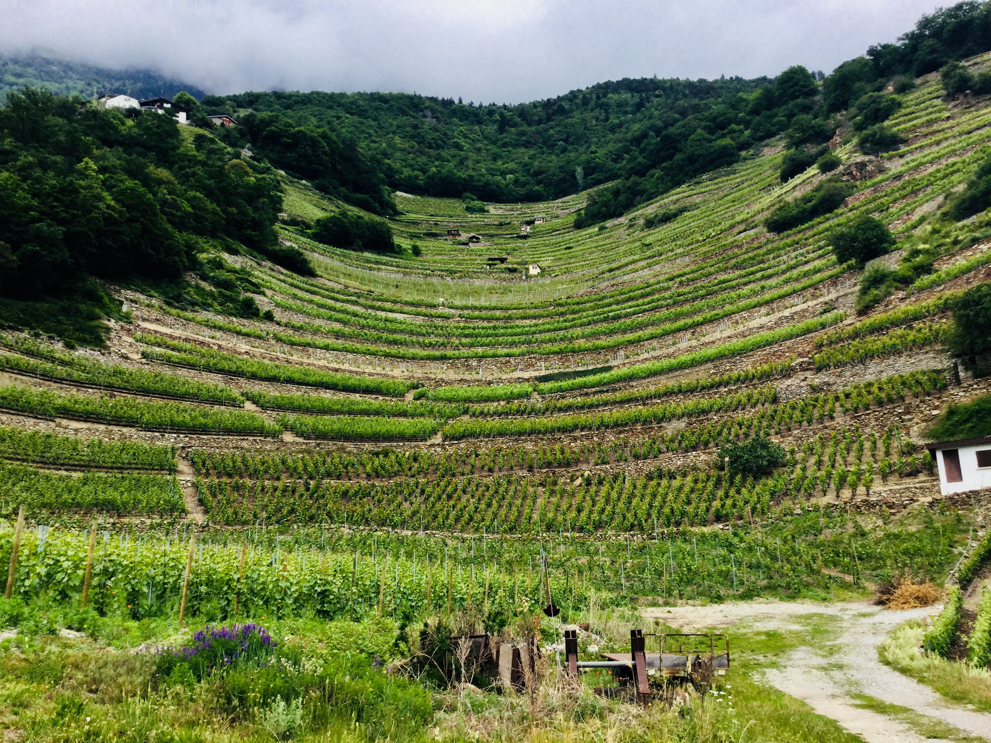 DD59DF0A-0D1A-428E-9362-15B4E4EFA1A8_1_201_a