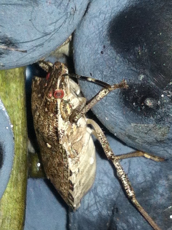 3D80AA41-06BE-44DC-B7D0-0DBCA8E7D1BD